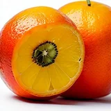@404notf26312237