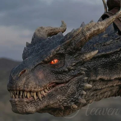 @DragonsxHeaven
