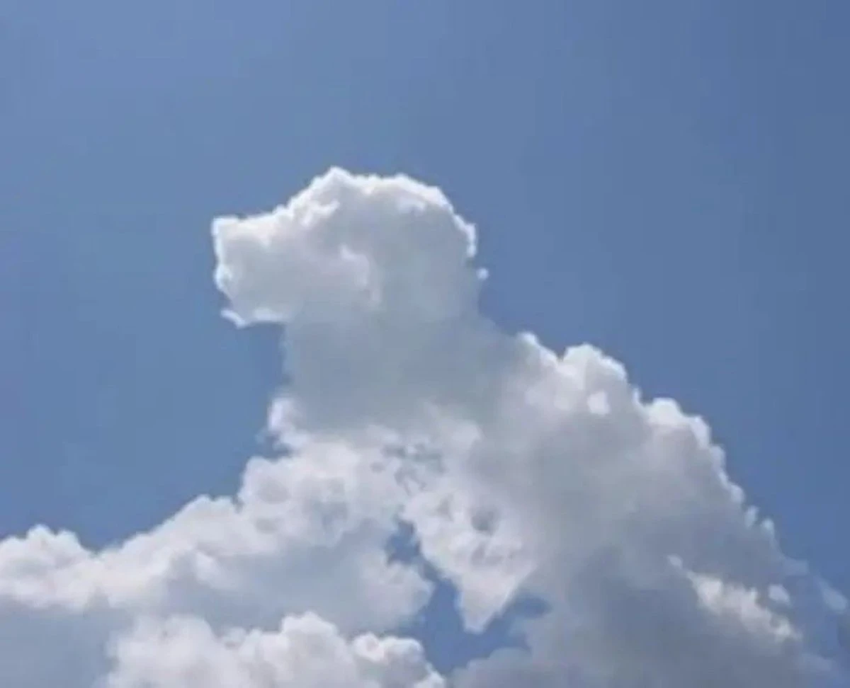 A cloud formation resembling a dog's head floats against a clear blue sky, highlighting its whimsical shape