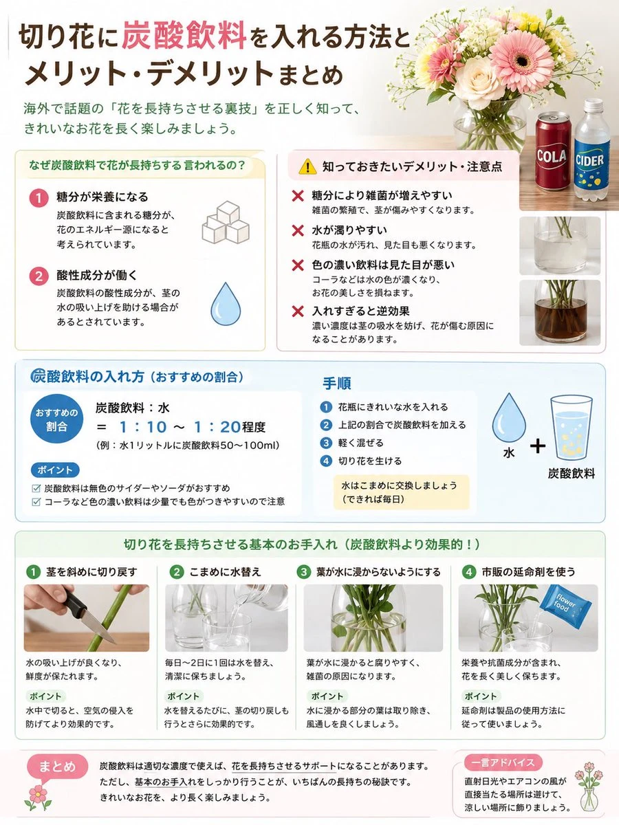 Japanese Cut Flower Soda Care Infographic infographic visual
