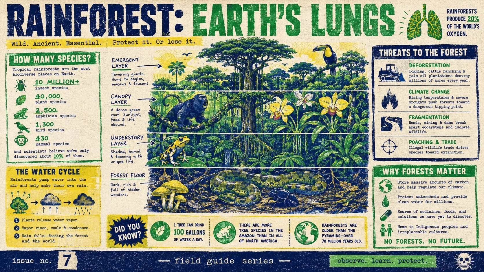 Risograph Zine Rainforest Infographic with separated components, labeled structure details and technical product-diagram styling