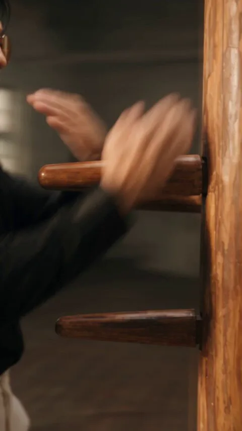 Seedance 2.0 video preview showing realistic wing chun kung fu training video