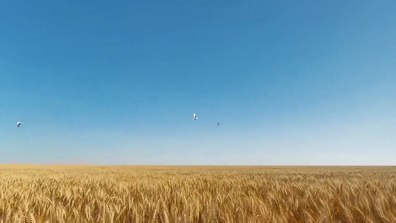 Vista previa del prompt de video Seedance 2.0: Surrealismo del cierre en el cielo